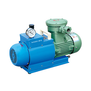 WXF-8 8L/s Anti-explosive oilless rotary vane vacuum pump