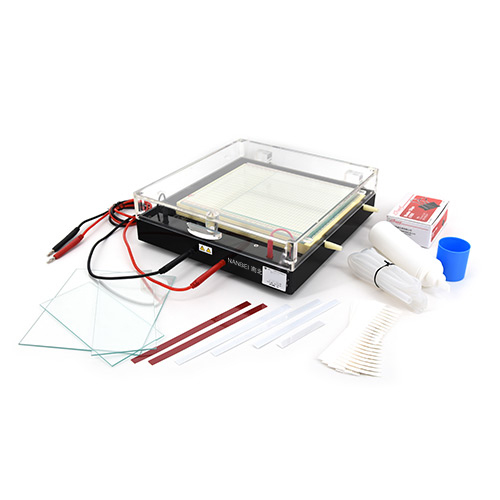 DYCP-37B Electrophoresis Cell