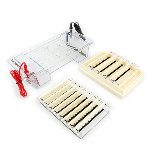 DYCP-32B Electrophoresis Cell