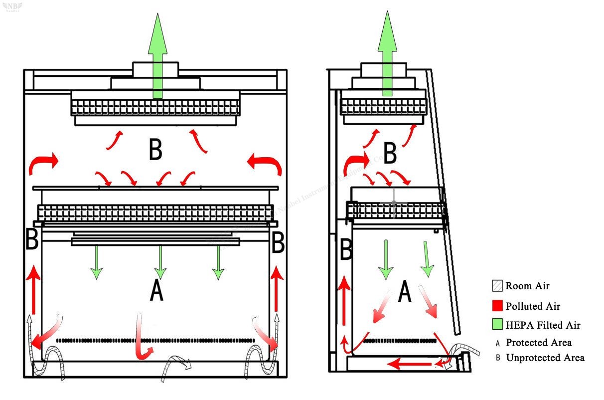 Biological safety cabinet b2